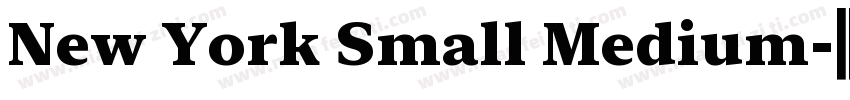 New York Small Medium字体转换